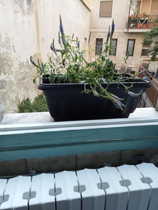 Apartmán Il Grande Blu Milán Exteriér fotografie