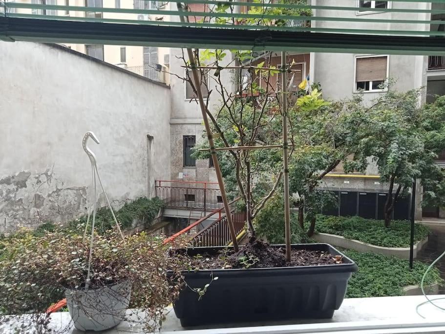 Apartmán Il Grande Blu Milán Exteriér fotografie